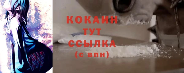 МДПВ Абаза