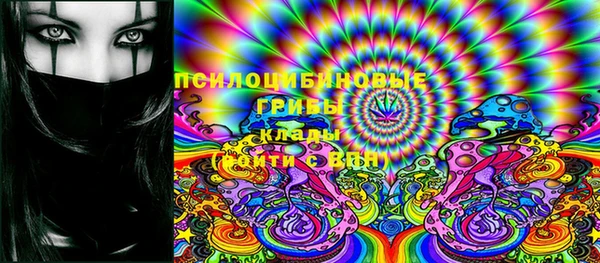 МДПВ Абаза